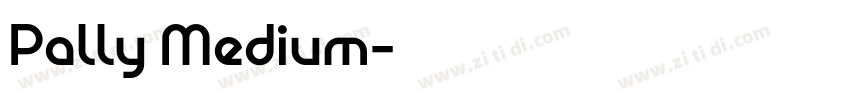 Pally Medium字体转换
